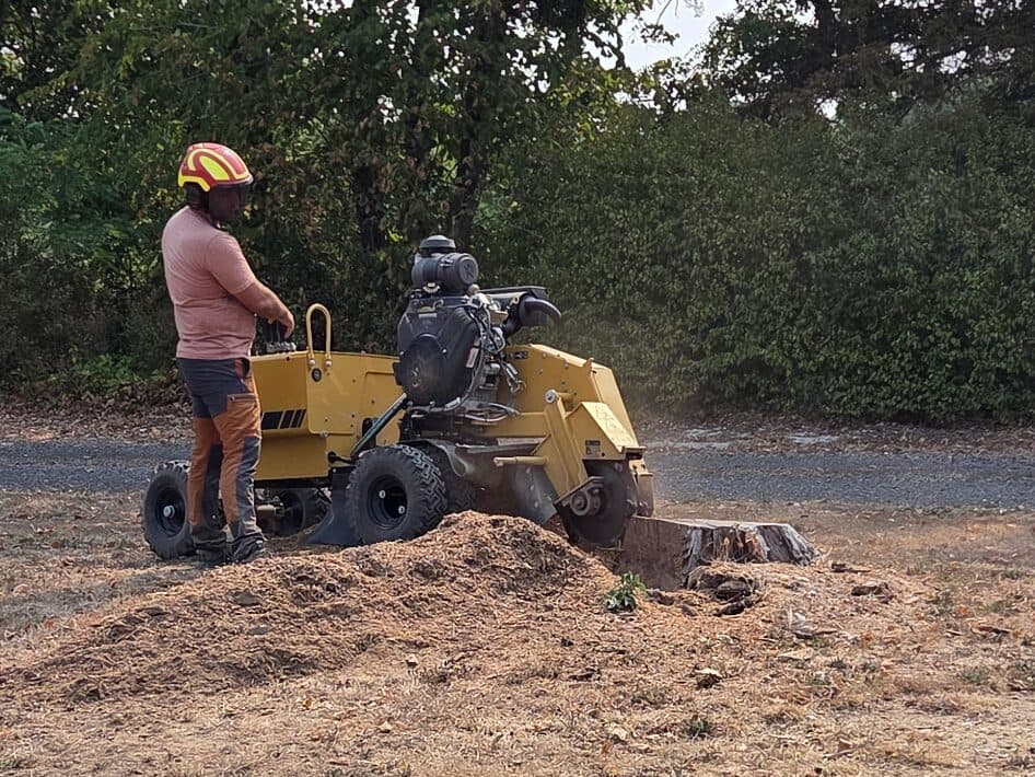 Rogneuse de souches en marche, conduite par un opérateur casqué, à côté d’un tas de copeaux