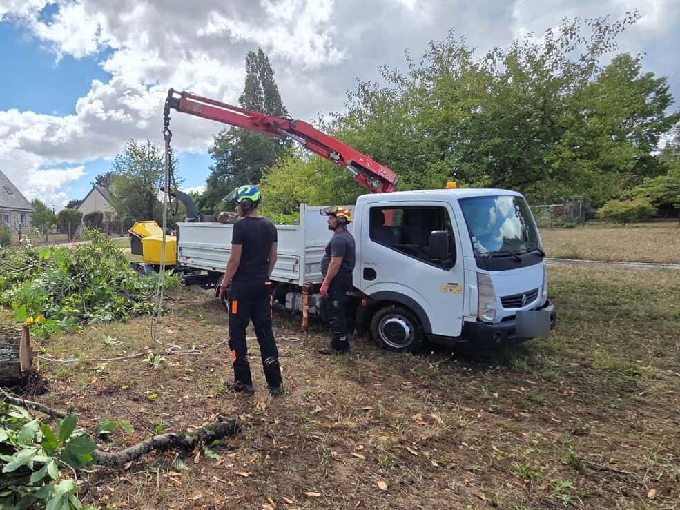 Deux élagueurs casqués près du camion-benne à grue, sur un chantier dans un jardin